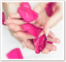 Willkommen in meinem Garten f&uml;r die Seele!